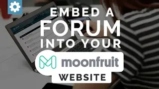 Moonfruit screenshot