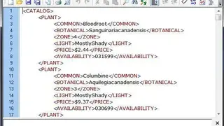 MoreMotion XML Editor screenshot