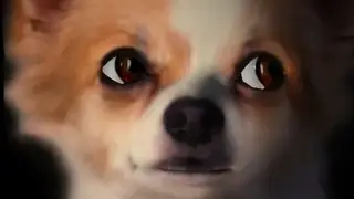 Morfo 3D Face Booth screenshot