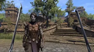 Morrowind screenshot