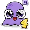 Moy 4