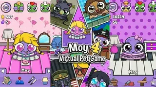 Moy 4 screenshot