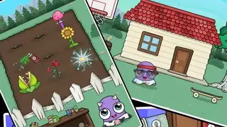 Moy 4 screenshot