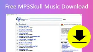 MP3Skull screenshot