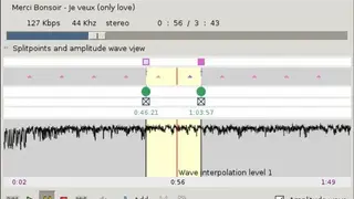 Mp3splt screenshot