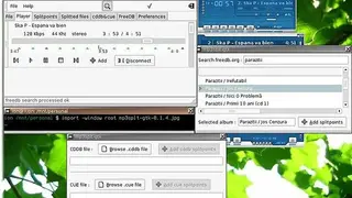 Mp3splt screenshot
