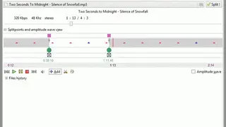 Mp3splt screenshot