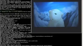 MPlayer screenshot