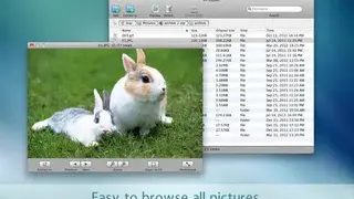 Mr. Zipper screenshot