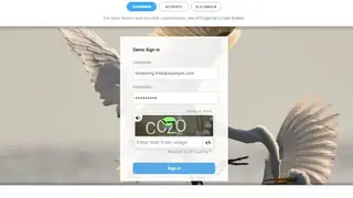 MTCaptcha screenshot