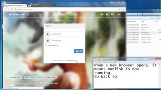 Mudfish screenshot