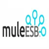 Mule ESB