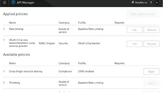 Mulesoft Anypoint API Manager screenshot