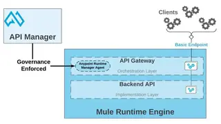Mulesoft Anypoint API Manager screenshot