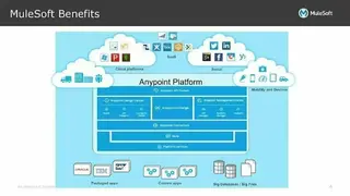 MuleSoft Anypoint Platform screenshot