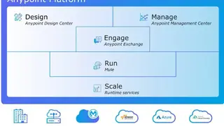MuleSoft Anypoint Platform screenshot