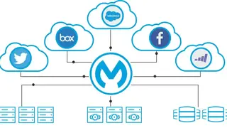 MuleSoft Anypoint Platform screenshot