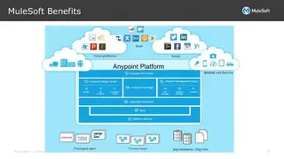 MuleSoft Anypoint Platform screenshot