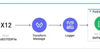Mulesoft EDI screenshot