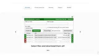 Multi-File Downloader screenshot