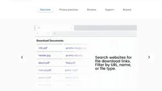 Multi-File Downloader screenshot