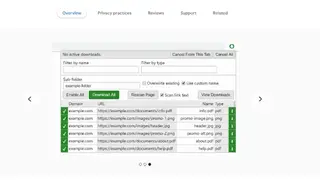 Multi-File Downloader screenshot
