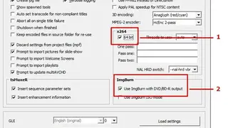 MultiAVCHD screenshot