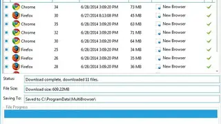 MultiBrowser screenshot