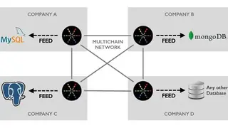 Multichain screenshot