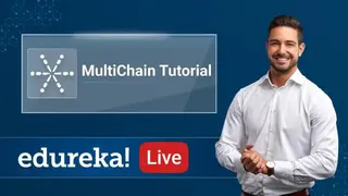 Multichain screenshot