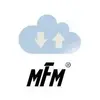 Multifilemirror