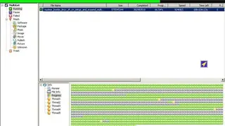 MultiGet screenshot