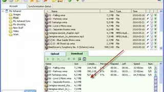 Multiple File Download screenshot