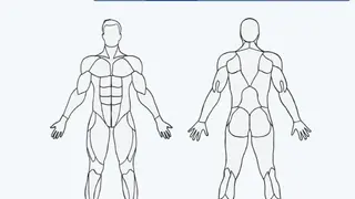 MuscleWiki screenshot