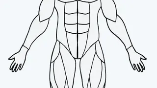 MuscleWiki screenshot
