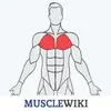 MuscleWiki