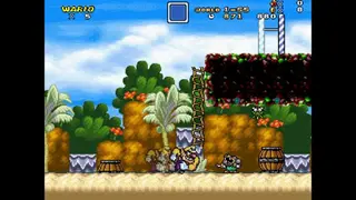 Mushroom Kingdom Fusion screenshot