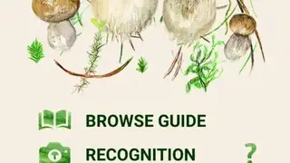 Mushrooms app screenshot