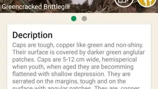Mushrooms app screenshot