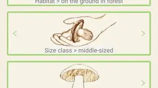 Mushrooms app screenshot