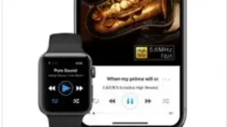 MUSIC PLAYER-NEPLAYER LITE screenshot