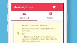 MusiclyDown screenshot