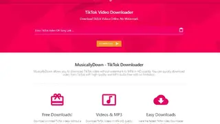 MusiclyDown screenshot