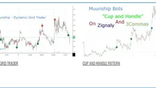 Muunship screenshot