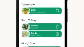 My Jungle House Plant Care Reminder Scheduler screenshot