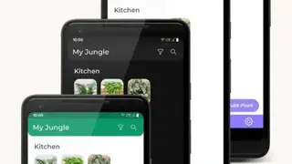 My Jungle House Plant Care Reminder Scheduler screenshot