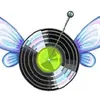 My Music Collection
