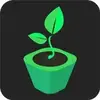 My Seed Trays