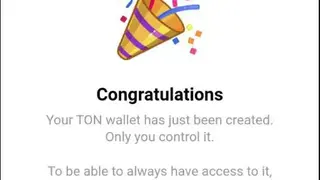 My TON Wallet screenshot