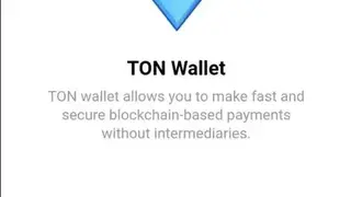 My TON Wallet screenshot